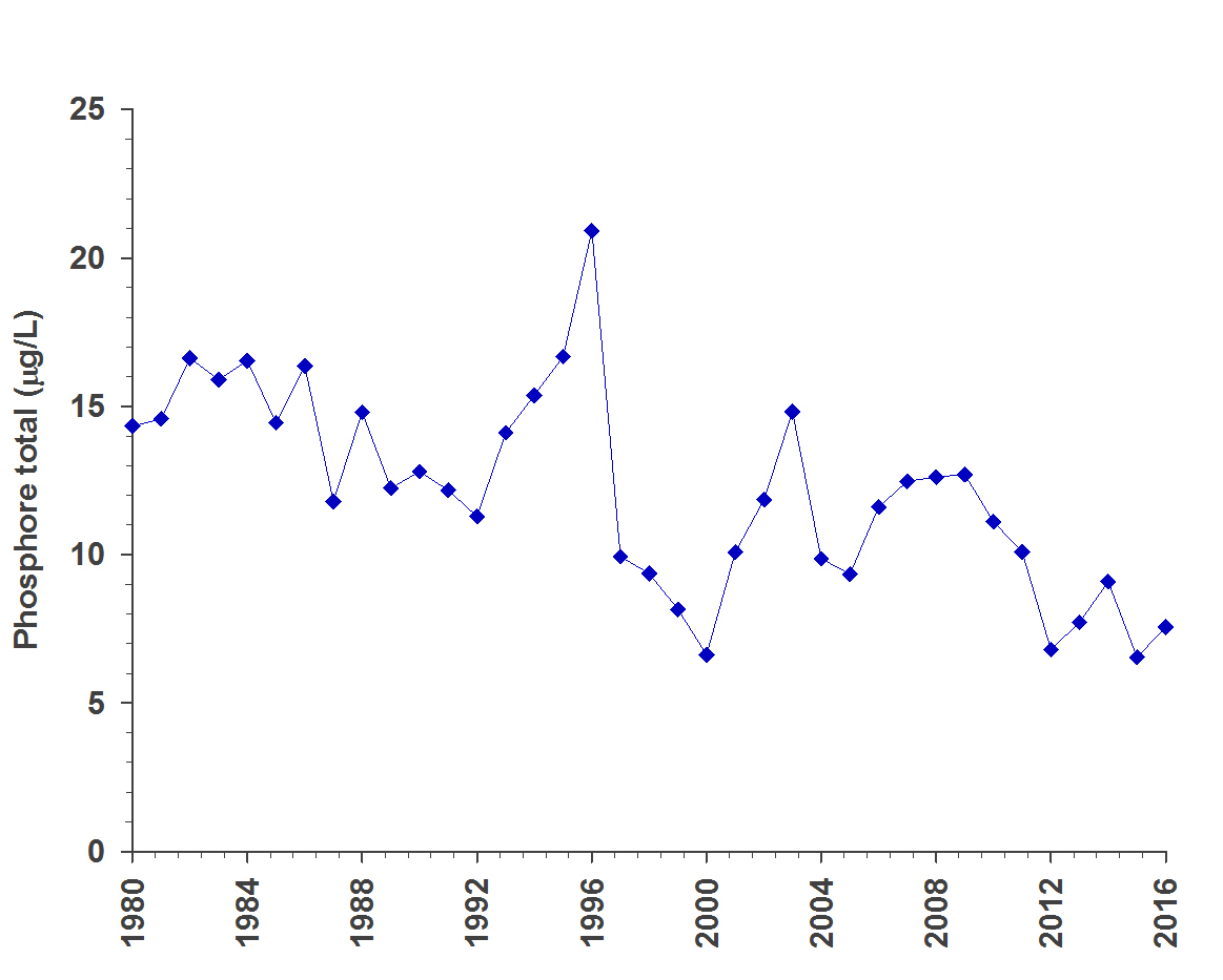 Ce graphique illustre les changements moyens (annuels) dans la concentration de phosphore (en microgrammes par litre) relevée dans de multiples échantillons prélevés au printemps (entre le 1er avril et le 20 juin), entre 1980 et 2016. Pendant cette période, les concentrations de phosphore ont dans l’ensemble diminué.