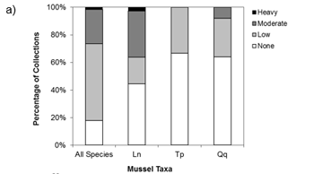 Figure A shows a stacked bar graph illustrating the percent of mussel collections by macrophyte cover type for three species including the Eastern Pondmussel, Lilliput and Mapleleaf. White indicates no macrophyte cover, grey indicates low cover, dark grey indicates moderate cover and black indicates heavy cover.