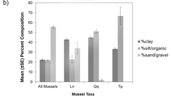 Figure B shows a bar graph illustrating the mean percent composition of substrate at collections sites for three mussel species including the Eastern Pondmussel, Lilliput and Mapleleaf. The dark grey bar indicates the percent of clay, the medium grey bar indicates the percent of silt/organic matter and the light grey bar indicates the percent of sand/gravel.