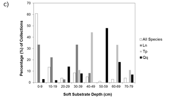 Figure C shows a bar graph illustrating the percent of mussel collections by soft substrate depth for three species. The white bar indicates all species combined, the dark grey bar indicates the Eastern Pondmussel, the light grey bar indicates Lilliput, and the black bar indicates Mapleleaf.
