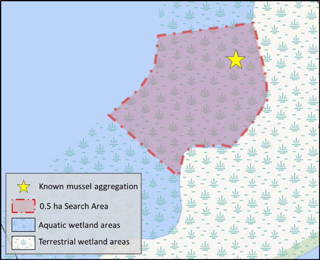 This is a map showing a known aggregation of mussels in a schematic of the half-hectare timed search method design