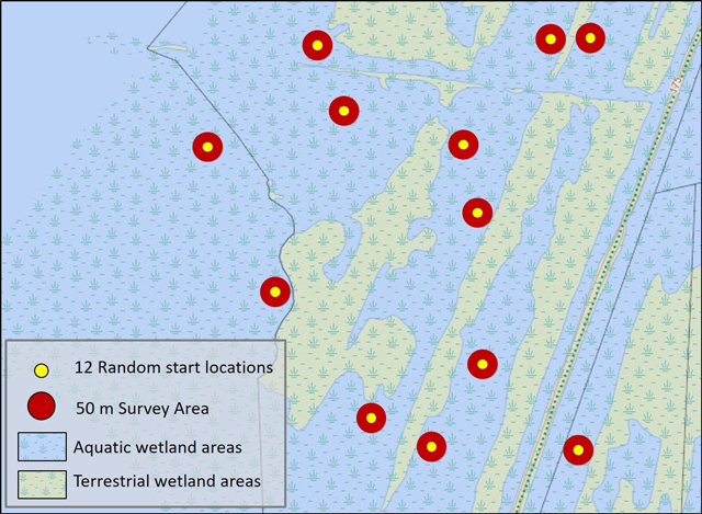 Schematic of the half-hectare timed search method. The yellow star indicates a known mussel aggregation site surrounded by a 0.5 hectare search area in red. Text provides further details.