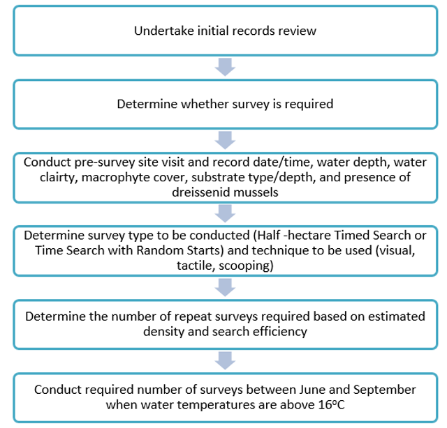 This is a process diagram showing the steps to conduct a freshwater mussel survey at a wetland site