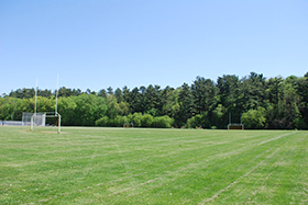 University of Toronto Play Fields