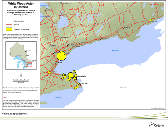 map of white wood aster range.