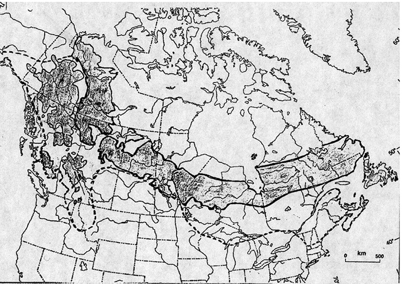 Map of North America showing distributions areas of woodland caribou. Current boundaries are represented with a solid lines, and dashed lines show historical geographical limits.
