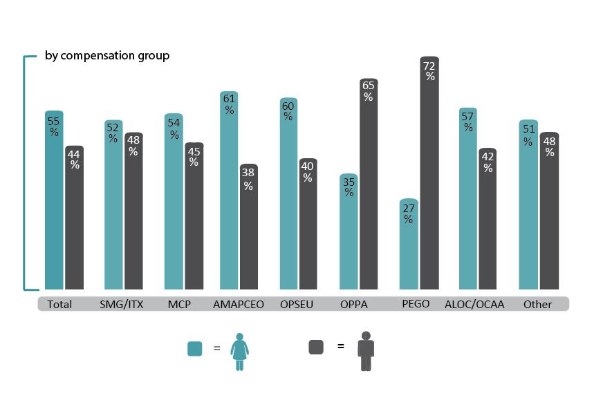 The chart demonstrates a comparison between male and female by compensation group. Full text description below.