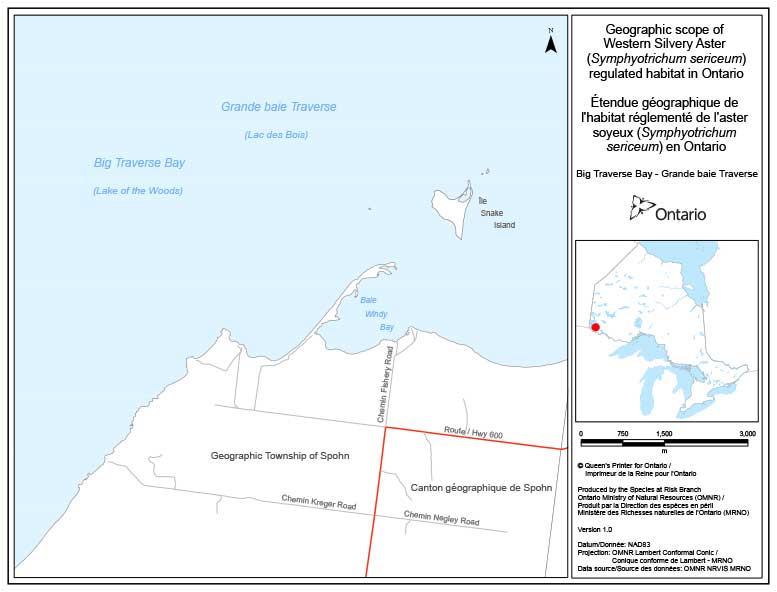 Étendue géographique de l’habitat réglementé de l’aster soyeux (Symphyotrichum sericeum) en Ontario - Grande baie Traverse 