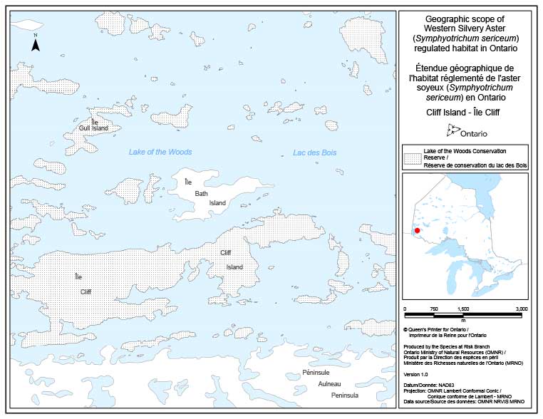 Étendue géographique de l’habitat réglementé de l’aster soyeux (Symphyotrichum sericeum) en Ontario – Île Cliff